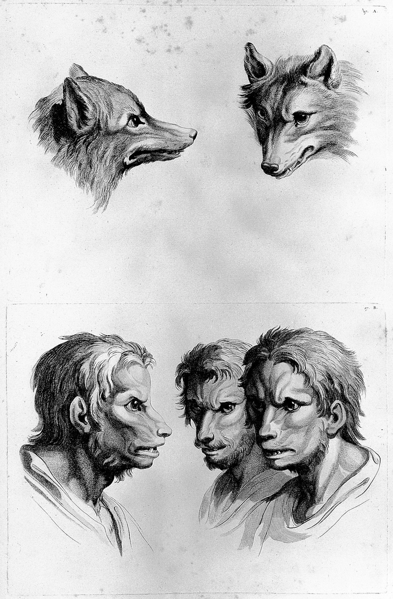 Illustration for article titled Baroque-Era Drawings Reveal Early Ideas About Evolution